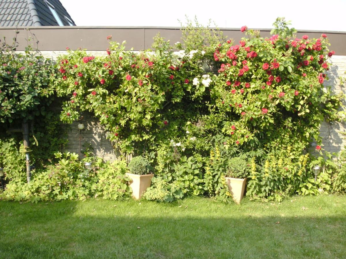 Westerdeichstrich Haus Mit Lilie Und Rose 아파트 외부 사진